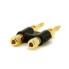Monoprice Dual 24k Gold Plated Speaker Banana Plugs, Black
