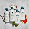 Dr. Tree DermoProtective Shower Gel for Frequent Use, Suitable for