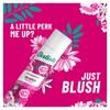 Batiste Shampoo Dry Blush, 6.73 Ounce,6 pack