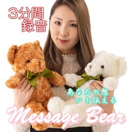 Active Island a578 Teddy Bear 3 Minute Recording Plush Toy Gift Birthday Present Bear (Brown)