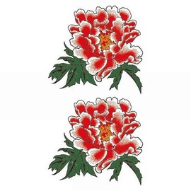 Festival Makeup R238 Red Peony Stippling (X in)