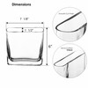 CYS EXCEL Glass Book Vase (H:6" Open:7"x2") Round Edge Oval