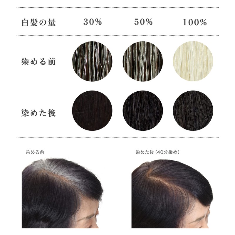 Naiad (ナイアード) Henna + Indigo Black 400g