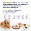 KEEPAW Liquid Hip & Joint Supplement for Senior Dogs 16
