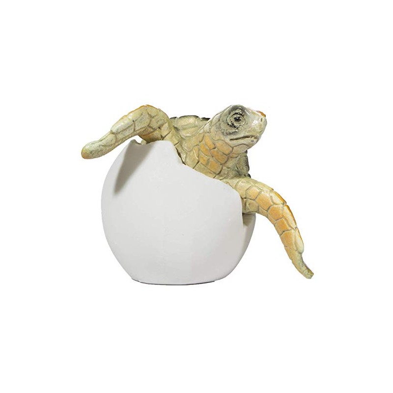 Cute Things Adorable Baby Sea Turtle Hatching from Egg 3