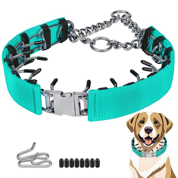 Toptakeit Pinch Prong Collar for Large Medium Small Dogs, Stainless