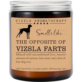 Vizsla Candle, Vizsla Funny Dog Gift, Vizsla Mom, Vizsla Dog Candle, Birthday Gift, Vizsla Owner Gift, Dog Lovers Gift, Vizsla Parents Day Gift