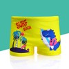 NautySaurs 2-Pack Boys Swimming Trunks 1-10 Years Kids Swimwear Toddler