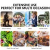 Portable Oven Heated Lunch Box Mini Oven Food Warmer for