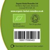 Organic Herbal Remedies 100ml Gotu Kola Tincture