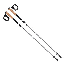 Terrain™ Alpha Aluminum Trekking Poles, Walking and Hiking Sticks, Night Shade
