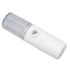 Portable Eye Sprayer Nanometer Facial Atomizer Handheld Facial Moisturizing MachineWhite