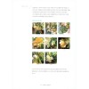 Botanical Art with Watercolor - Korean Drawing Guide .