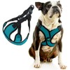 Gooby Comfort X Step in Lite Dog Harness - Choke