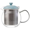 Hasamiyaki 25511 Rosemary Glass Pot Tea Pot (Super Stainless Steel