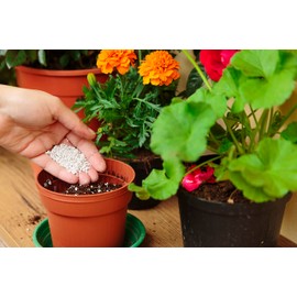 R&R SHOP – Expanded Perlite, Neutral PH ideal for Gardening, Germination, Ventilation Improving Plant Growth – Medium 3L