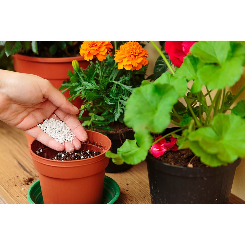 R&R SHOP – Expanded Perlite, Neutral PH ideal for Gardening,