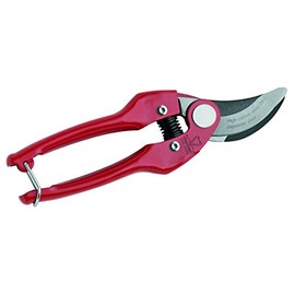 DUE CIGNI 2C 384/19 SK-5 Carbon Steel Pruning and Gardening Shears, Red, 19 cm