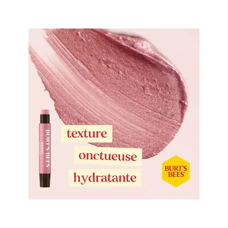 Burts Bees 버츠비 키스 가능한 컬러 웜 선물 세트 1EA