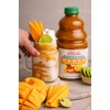 Dr. Smoothie Mango Tropics Classic Blend Smoothie Bottles, 46-Ounce by