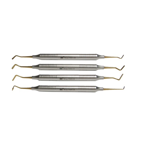 Wise Dental Composite Non Stick Filling Instruments Set of 4. Plugger, Condenser, conical tip and fine probe