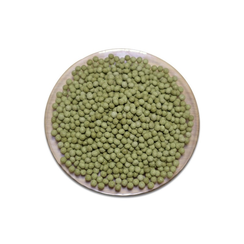 Chamdoori Barley Sprout Barley Cycle 200g / 참두리 보리새싹 보리순