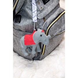 Zootheze Teether and Bath Toy