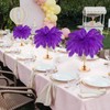 30 Pcs Large Natural Ostrich Feathers Bulk 16-18 Inch for
