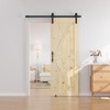 SMARTSTANDARD 32in x 84in Sliding Barn Door with 6ft Barn