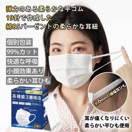 Masks, Individually Packaged, JIS Standard Compliant, 100 Pieces, Non-Woven Fabric, Disposable Masks, Breathable, Ultra Comfortable, High Performance Filter, Prevents Colds, Pollen, Droplets, PM2.5, Cuts 99%, Japanese Quality