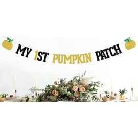 My 1st Pumpkin Patch Banner,Little Pumpkin 1st Birthday Decorations,Pumpkin Patch Decorations,Pumpkin Patch Boy Girl 1st Birthday Party Supply Black & Gold