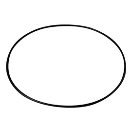 AS ONE G24 /1-066-08 O-Ring for Type 240 Vacuum Polycadesicators