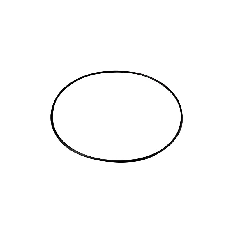 AS ONE G24 /1-066-08 O-Ring for Type 240 Vacuum Polycadesicators