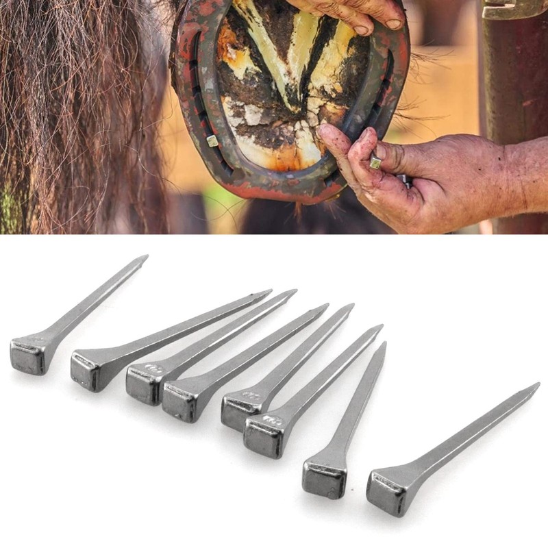 JJHXSM 30PCS Horseshoe Nails E6 Equestrian Sport Equipment Horse Training