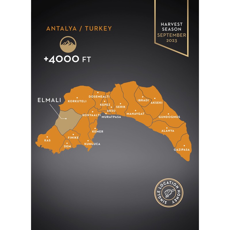 Garisar Premium Single Location Chaste Tree Honey | Pure Natural