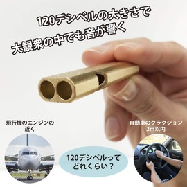 Whistle Reel Keychain with Carabiner for Whistle, Disaster Prevention, Crime Prevention, Referee, Bear Protection, School, Hazard Prevention, Wild Vegetables Picking, Hiking (Gold)