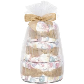 The Honest Company Diaper Cake Diapers Baby Personal Care Plant-Based Wipes, Rose Blossom, Regular Size, 1 8-14 lbs, 35 Count