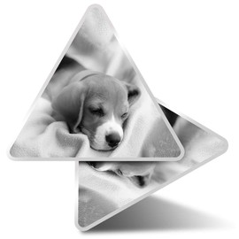 2 x Triangle Stickers 7.5cm - BW - Cute Beagle Puppy Sleeping Dog Fun Decals for Laptops,Tablets,Luggage,Scrap Booking,Fridges #42752