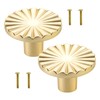 QTMMC 2 Pack Gold Cabinet Knobs Brushed Gold Knobs Doors