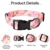 Timos Dog Collar, Adjustable Soft Dog Collar for Small Medium