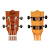 Flight, 4-String Cupcake Concert Ukulele, AUC-33