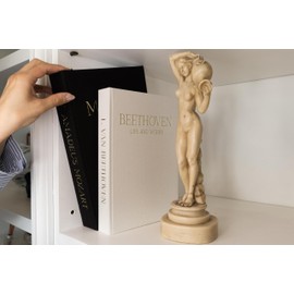 claubur Decorative Books for Home Decor Set of 2 Linen Covered Decorative Boxes. No Pages Inside. For Coffee Table, Bookshelf or Mantle Decor. Fake/Faux Books for Modern Home. Black and White Decor