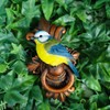Vivid Arts - Wall Hanging - Blue Tit on Door