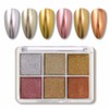 6 Colors Solid Nail Powder Palette Nail Powder Nuance Nail