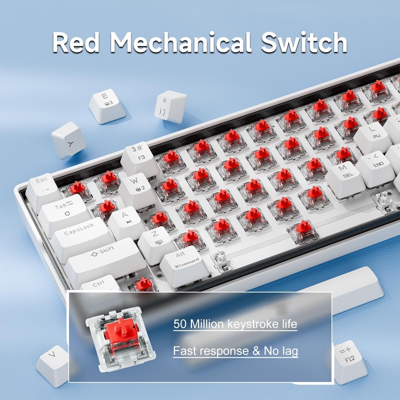 KEMOVE K61SE Gaming Mechanical Keyboard, 60 Percent Wired RGB Backlit