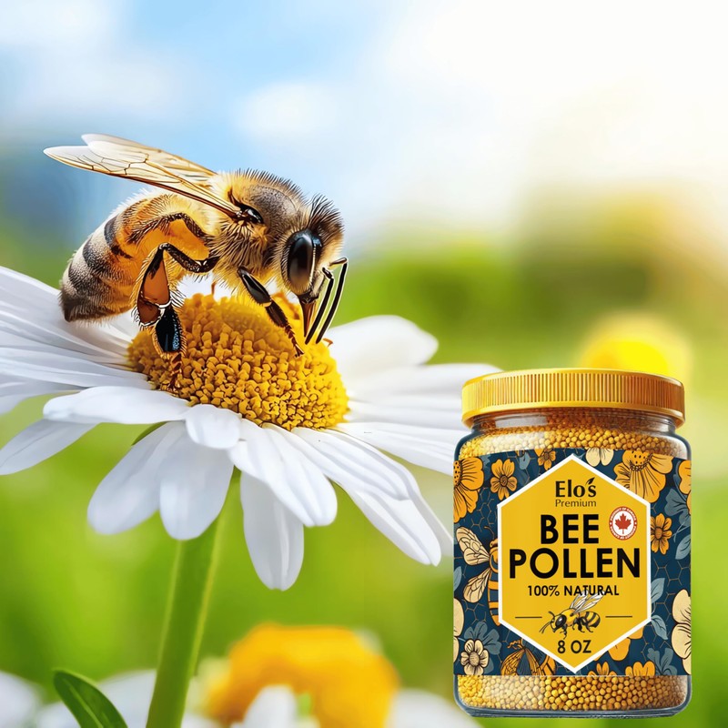 Bee Pollen 8oz 227g– (PRODUCT OF CANADA) 100% Natural Wildflower