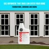 BUGGSLAYER Insecticide - Concentrate - Outdoor Box Elder Bugs, Stink