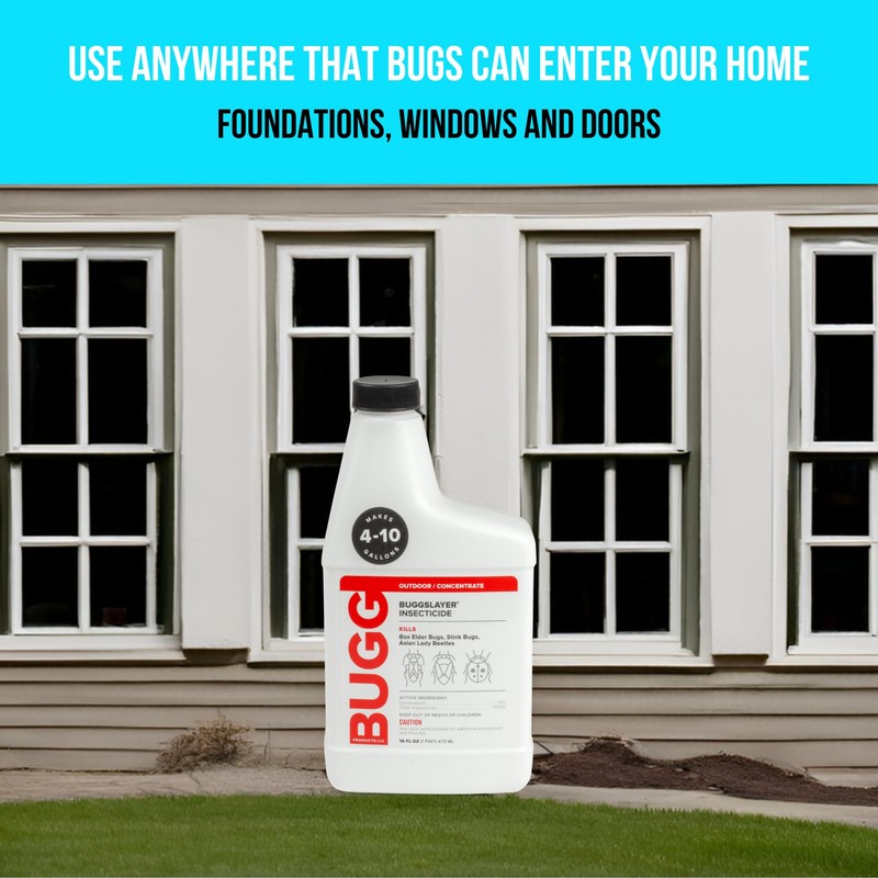 BUGGSLAYER Insecticide - Concentrate - Outdoor Box Elder Bugs, Stink