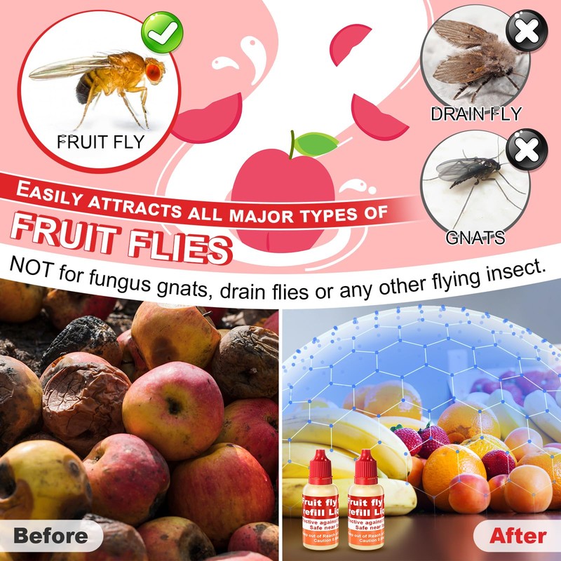 Qualirey 20 Pack Fruit Fly Trap Refill Liquid, 0.68oz/ Bottle