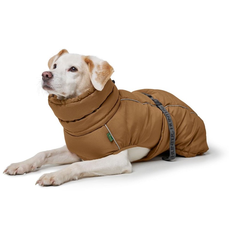 Paxson Dog Coat Caramel Size 30